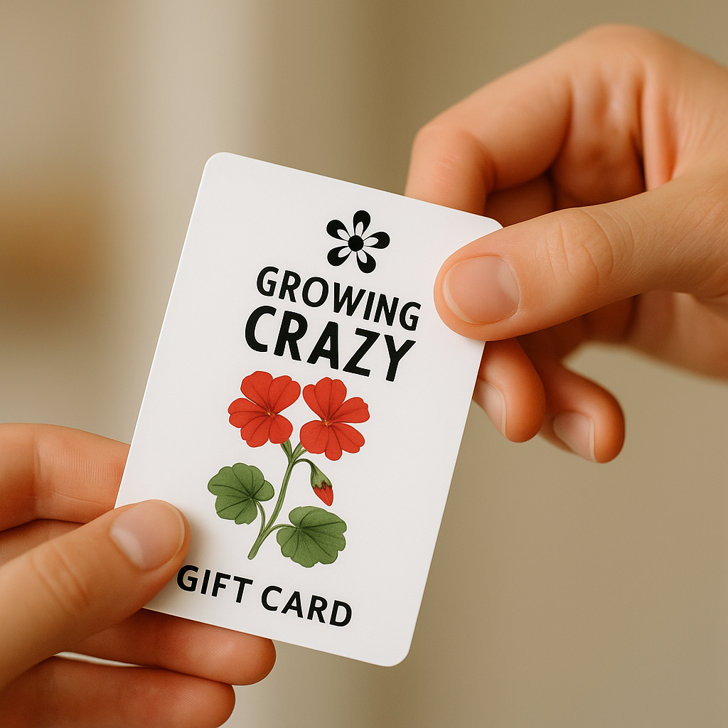 Growing Crazy for Pelargoniums Gift Card