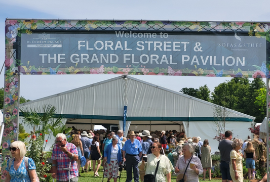 Growing Crazy for Pelargoniums going to Blenheim Palace Flower show - picture of entrance to the Floral Street and Grand Floral Pavaillion