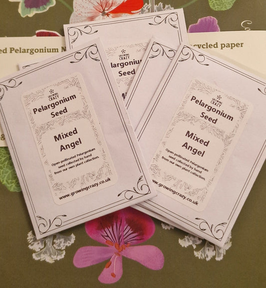 Angel Pelargonium Seed Mix – Hand-Picked from the Pelargonium Palace