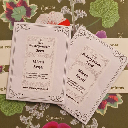 Regal Pelargonium Seed Mix – Hand-Picked from the Pelargonium Palace
