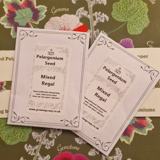 Regal Pelargonium Seed Mix – Hand-Picked from the Pelargonium Palace