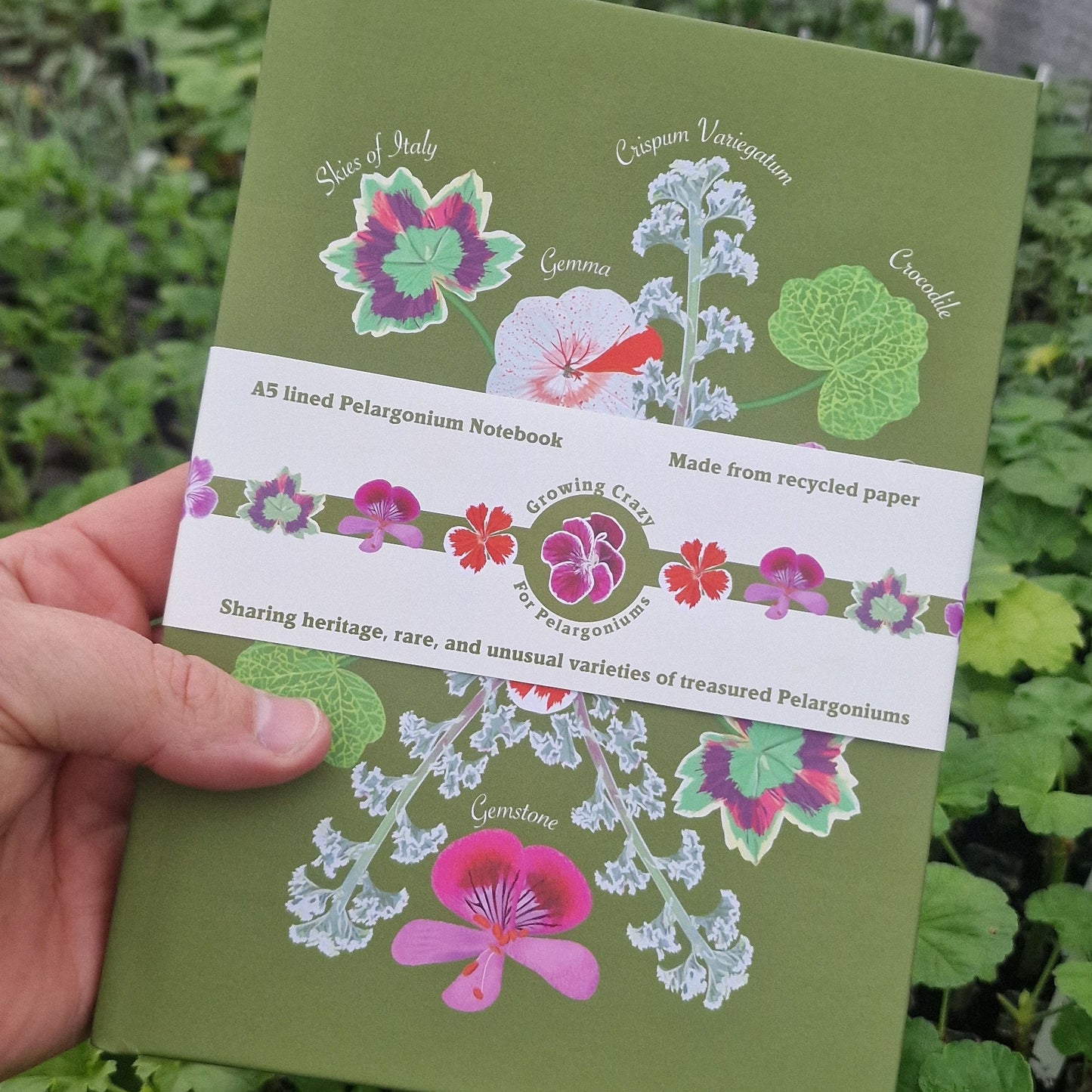 Pelargonium A5 Hardback Lined Notebook - Made from Recycled Paper