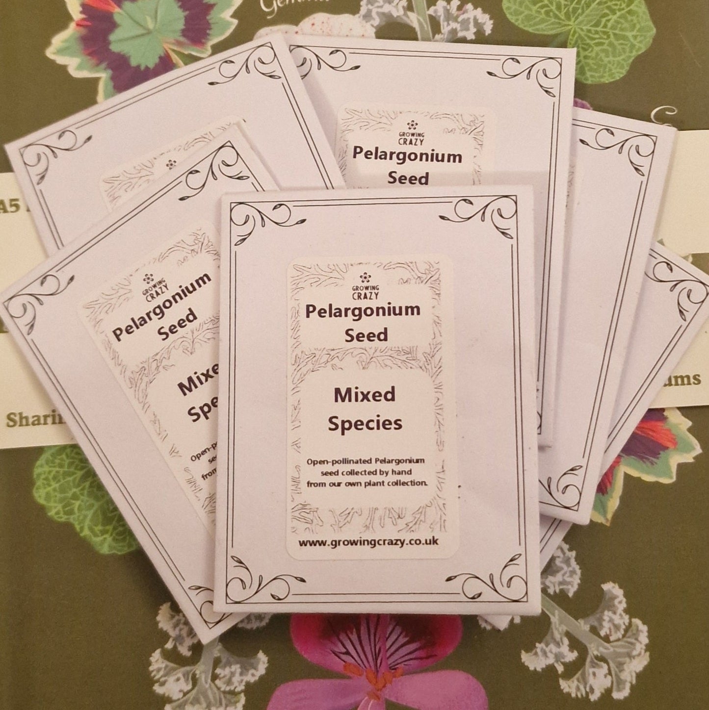 Species Pelargonium Seed Mix – Hand-Picked from the Pelargonium Palace